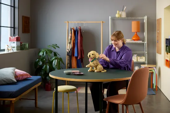 Picture of LEGO Icons 11384 Golden Retriever Puppy