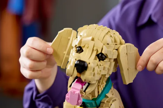 Picture of LEGO Icons 11384 Golden Retriever Puppy