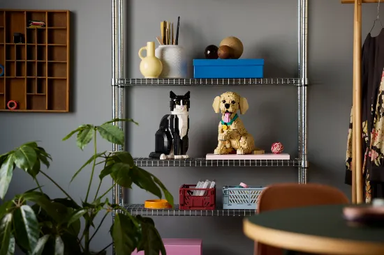 Picture of LEGO Icons 11384 Golden Retriever Puppy