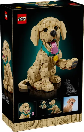 Picture of LEGO Icons 11384 Golden Retriever Puppy