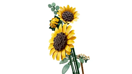 Picture of LEGO Botanicals 11502 Sunflower Bouquet