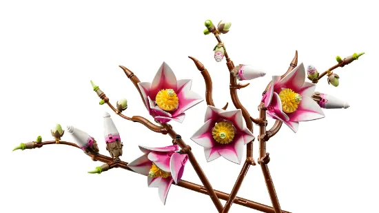 Picture of LEGO Botanicals 11510 Magnolia Branches