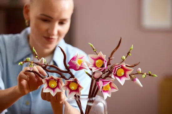 Picture of LEGO Botanicals 11510 Magnolia Branches