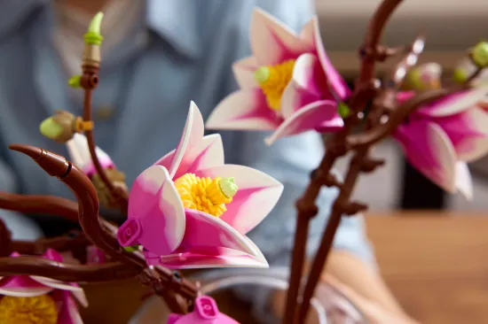 Picture of LEGO Botanicals 11510 Magnolia Branches