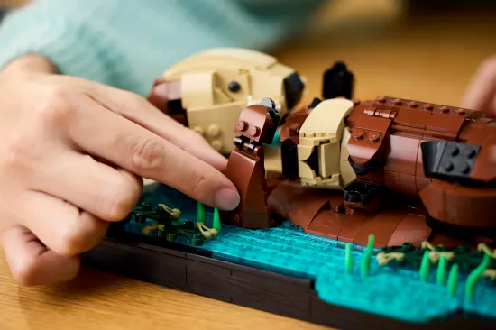 Picture of LEGO IDEAS 21366 Floating Sea Otters