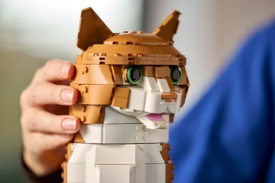 Picture of LEGO IDEAS 21376 Orange Cat