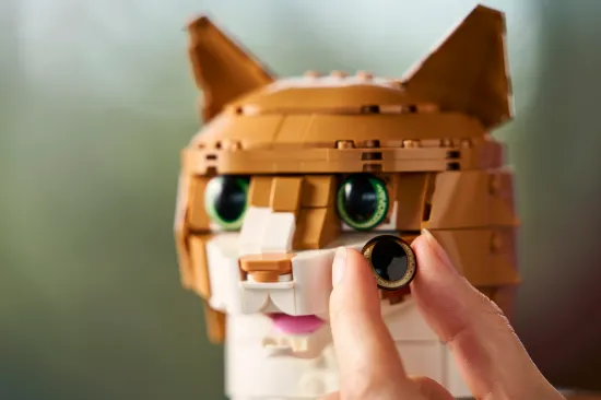 Picture of LEGO IDEAS 21376 Orange Cat