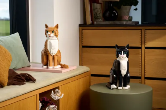 Picture of LEGO IDEAS 21376 Orange Cat