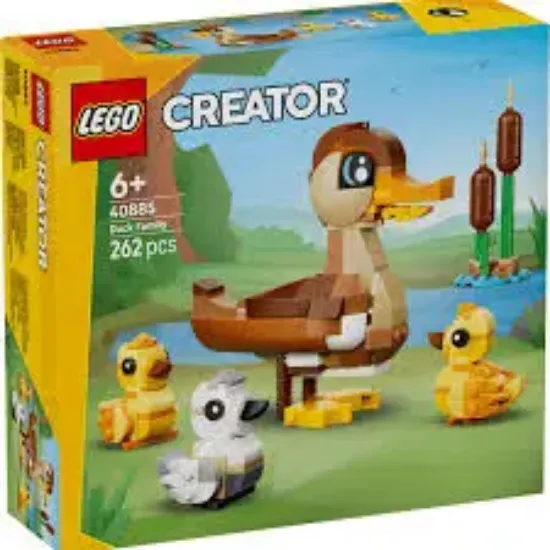 40885 Duck Family 