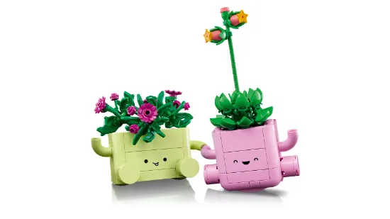Picture of LEGO Botanicals 11506 Rocking Plants