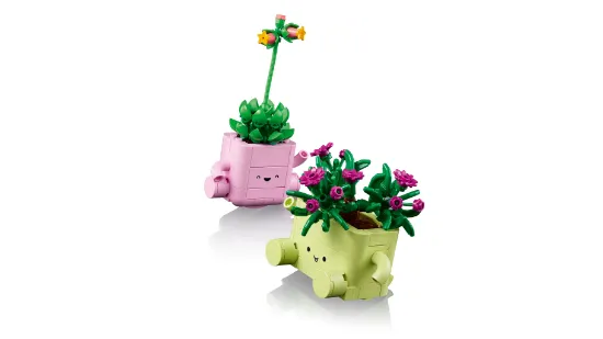 Picture of LEGO Botanicals 11506 Rocking Plants
