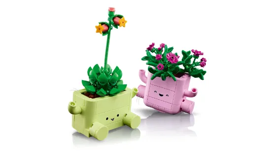 Picture of LEGO Botanicals 11506 Rocking Plants