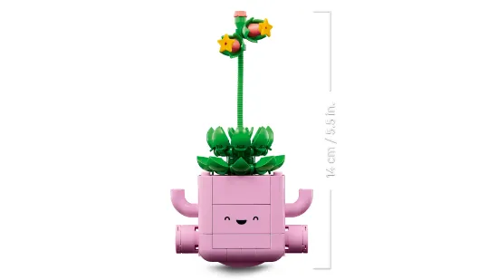 Picture of LEGO Botanicals 11506 Rocking Plants