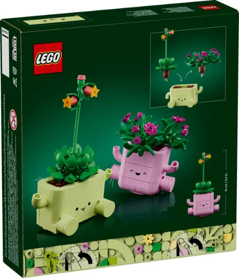 Picture of LEGO Botanicals 11506 Rocking Plants