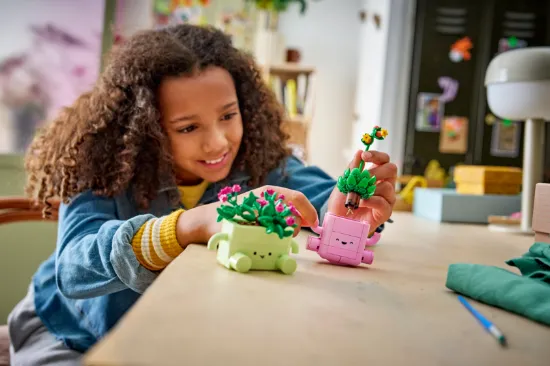 Picture of LEGO Botanicals 11506 Rocking Plants
