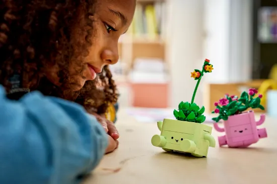 Picture of LEGO Botanicals 11506 Rocking Plants