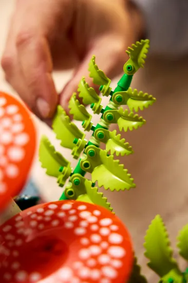 Picture of LEGO Botanicals 11505 Woodland Mushrooms