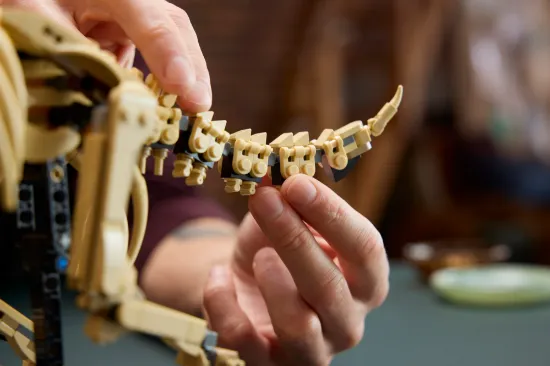 Picture of LEGO Jurassic World 77985 Dinosaur Fossils: Triceratops