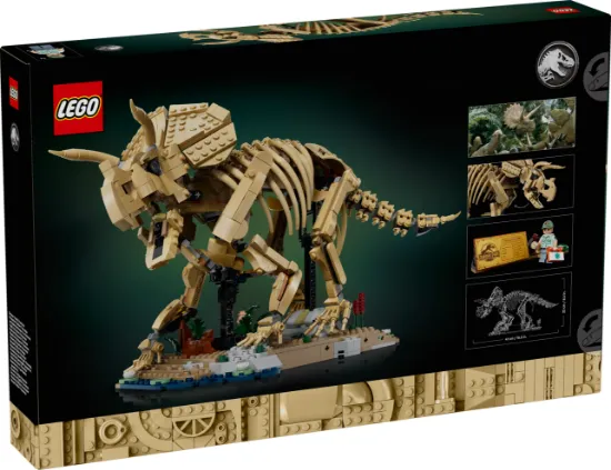 Picture of LEGO Jurassic World 77985 Dinosaur Fossils: Triceratops