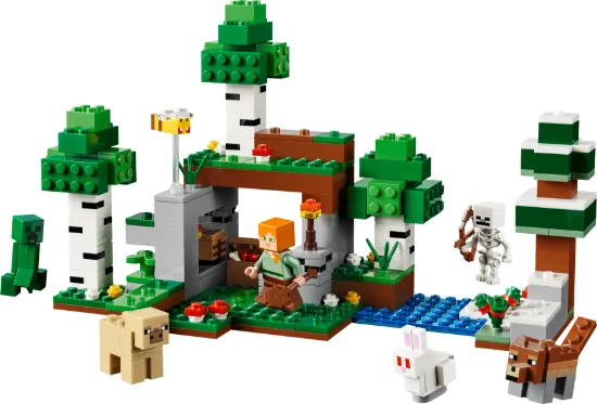 Picture of LEGO Minecraft 21593 First Night Adventure