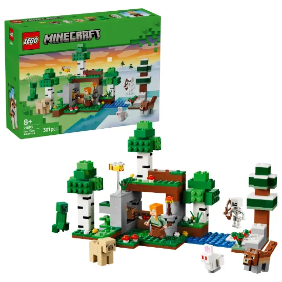 Picture of LEGO Minecraft 21593 First Night Adventure