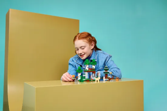 Picture of LEGO Minecraft 21593 First Night Adventure