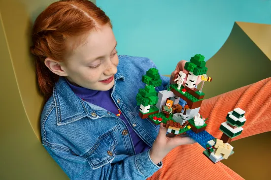Picture of LEGO Minecraft 21593 First Night Adventure