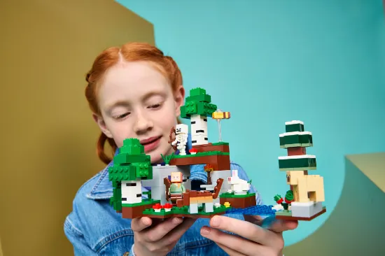 Picture of LEGO Minecraft 21593 First Night Adventure