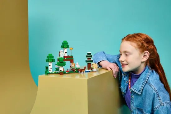Picture of LEGO Minecraft 21593 First Night Adventure