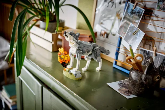 Picture of LEGO Creator 31393 Forest Animals: Gray Wolf