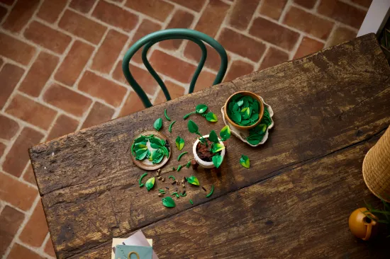 Picture of LEGO Botanicals 11512 Hanging Golden Pothos