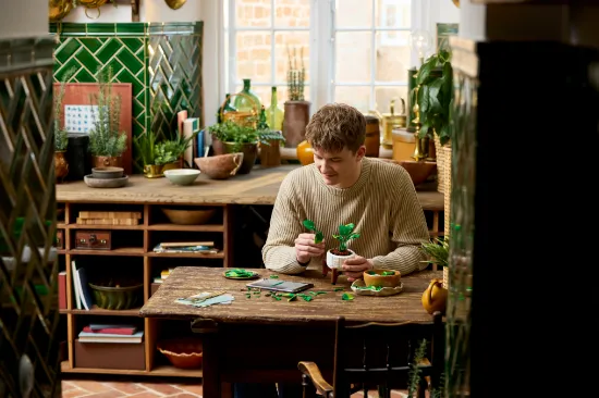 Picture of LEGO Botanicals 11512 Hanging Golden Pothos