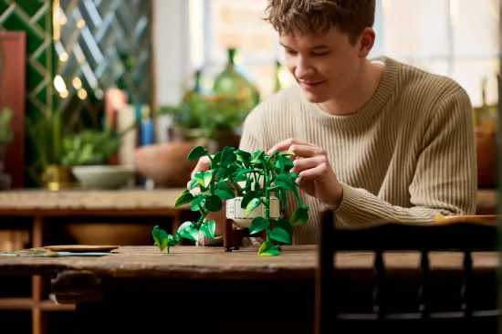 Picture of LEGO Botanicals 11512 Hanging Golden Pothos