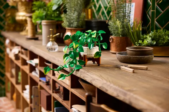 Picture of LEGO Botanicals 11512 Hanging Golden Pothos