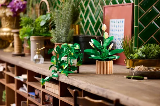 Picture of LEGO Botanicals 11512 Hanging Golden Pothos