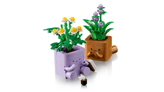 Picture of LEGO Botanicals 10371 Cozy Plants