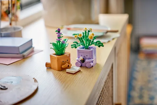 Picture of LEGO Botanicals 10371 Cozy Plants